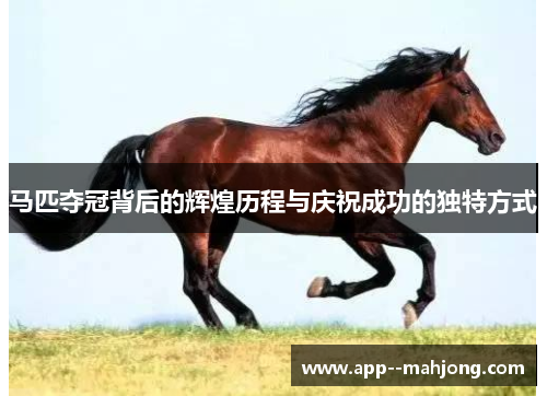 马匹夺冠背后的辉煌历程与庆祝成功的独特方式