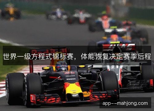 世界一级方程式锦标赛，体能恢复决定赛季后程